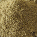 Coriander Powder