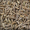 Cumin seeds