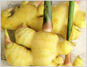 Ginger